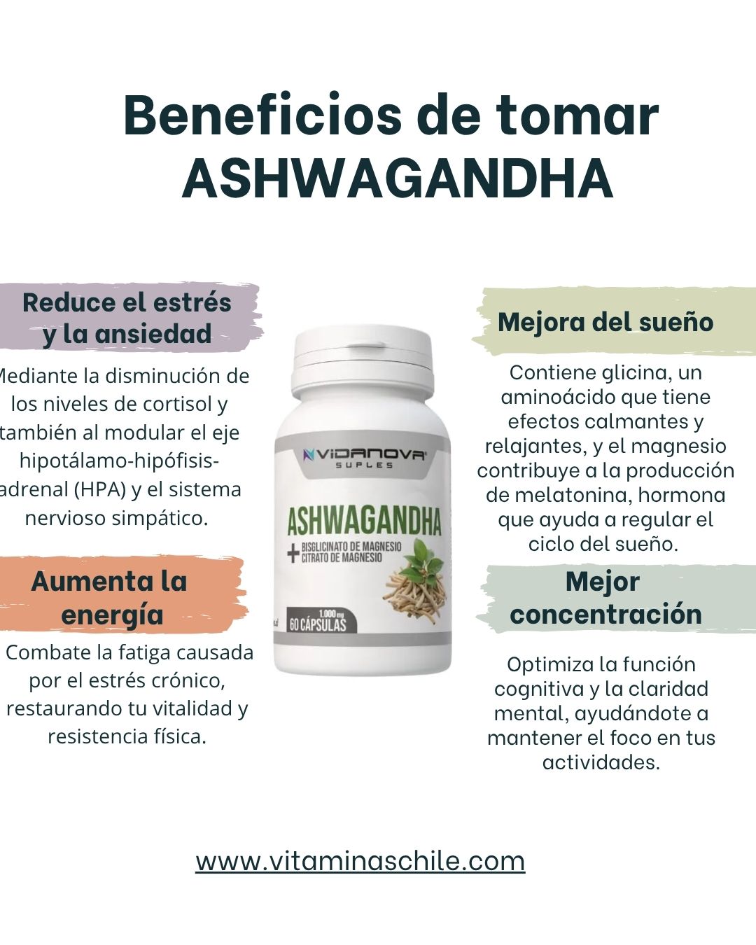 Ashwagandha + Magnesio 1000mg 60 CAPS