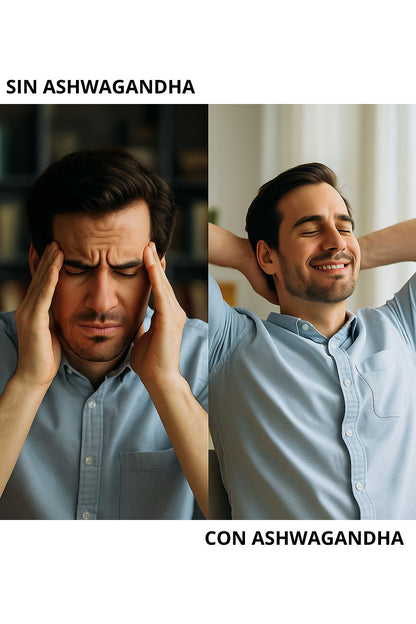 Ashwagandha + Magnesio Bisglicinato + Magnesio Citrato x 60 capsulas SEREMI